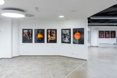 Nákupní galerie Myslbek bude pořádat pravidelné výstavy